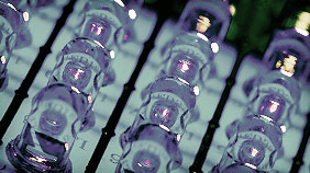 网络短信免费版